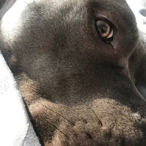 Meet your Posher, Olga